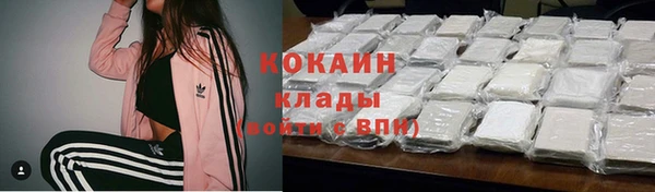 эйфоретик Вяземский