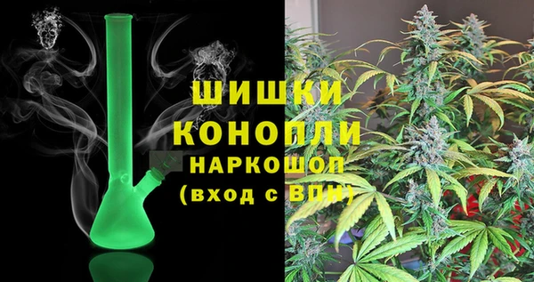 эйфоретик Вяземский