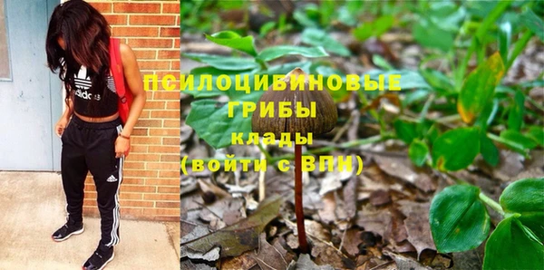 эйфоретик Вязьма