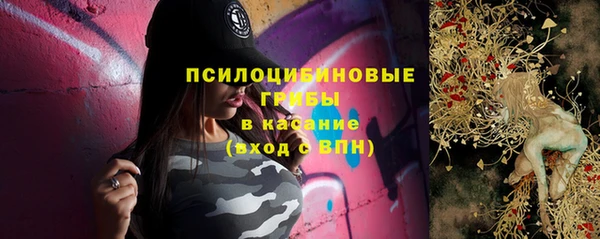 эйфоретик Вязьма