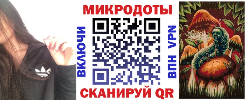 Купить  Коркино  Галлюциногенные грибы Psilocybe 